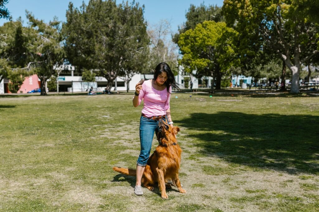 Adestramento com clicker para cães utilizando reforço positivo