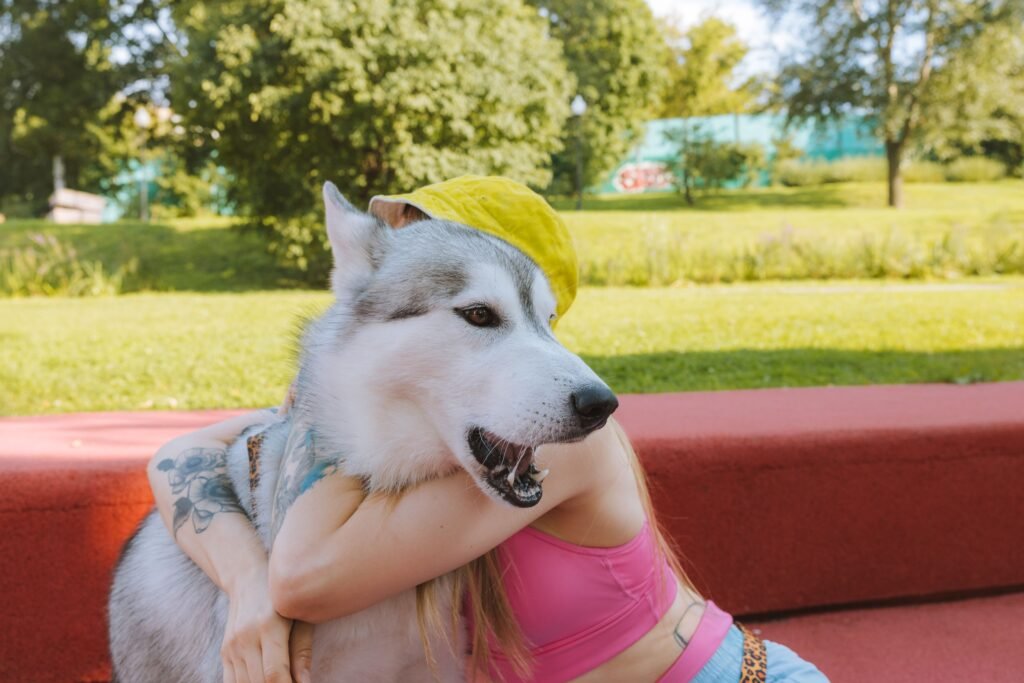 Cachorro que rosna para o dono durante interação com tutor