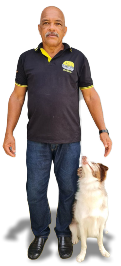 {post_title} - Adestrador de Cães em Salvador