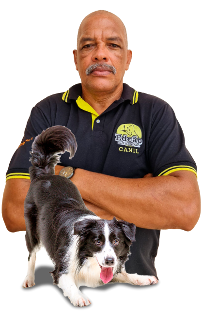 {post_title} - Adestrador de Cães em Salvador