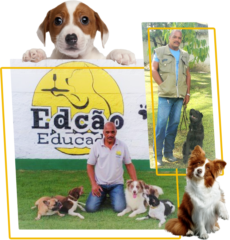 {post_title} - Adestrador de Cães em Salvador