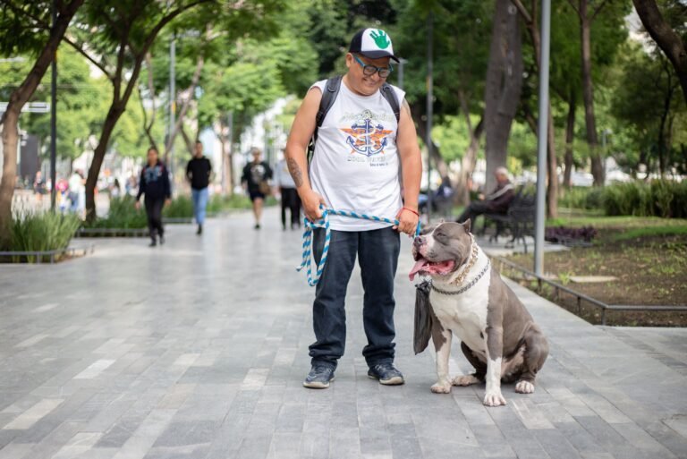 Cachorro ignora comandos na rua - Edgar Adestrador
