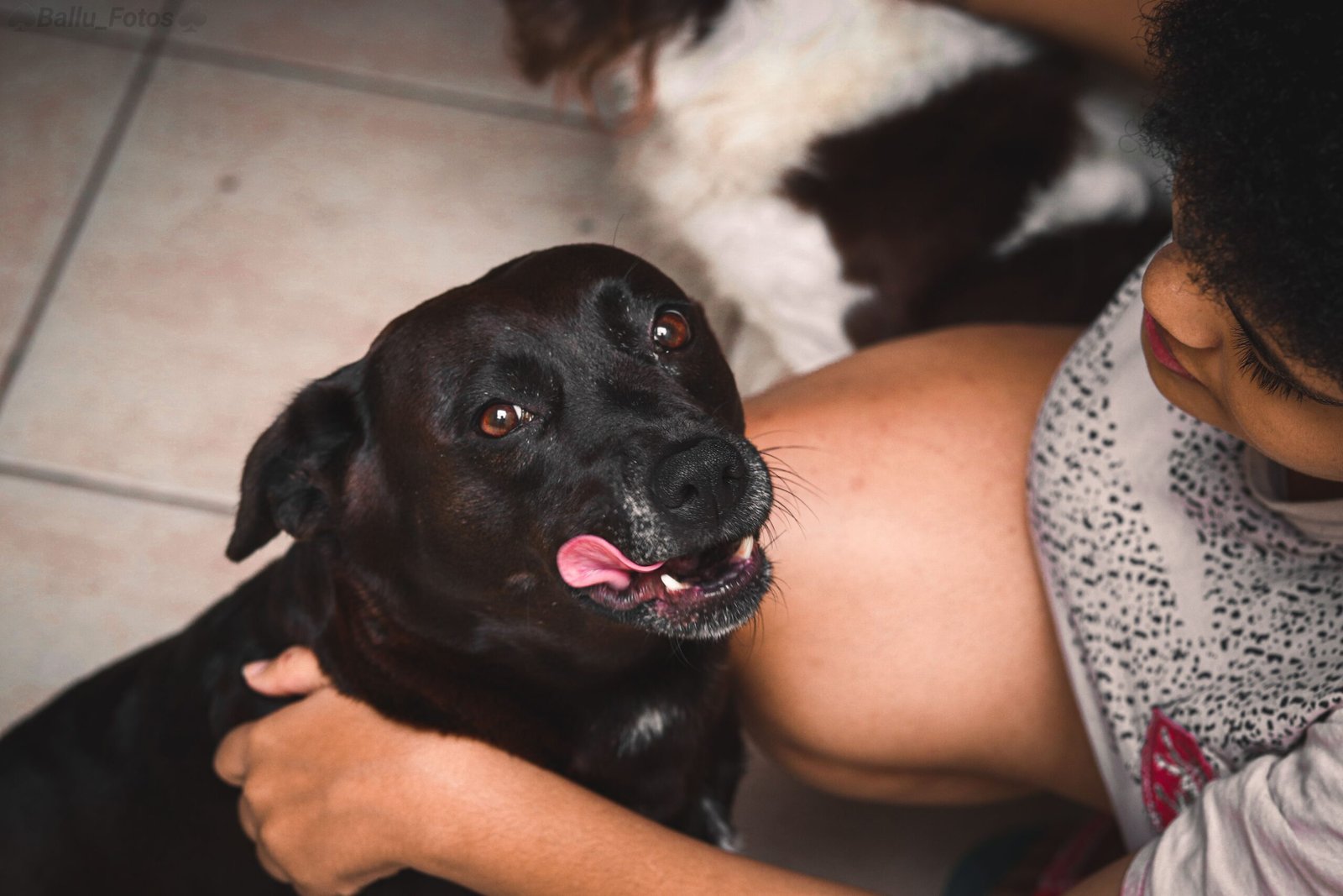 Cachorro Protege Tutor em Excesso - Edgar Adestrador