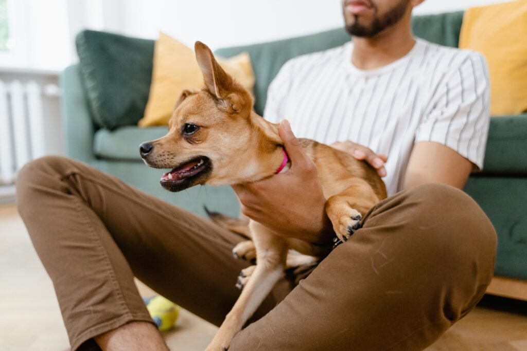 Cachorro Protege Tutor em Excesso - Edgar Adestrador
